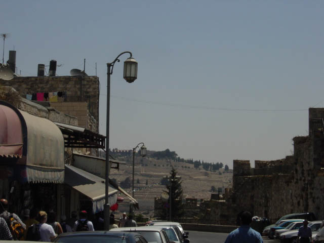 DSC00947